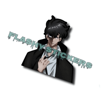 SUNG JIN-WOO MOTION STICKER – Flashy Stickers