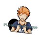 HINATA MOTION STICKER